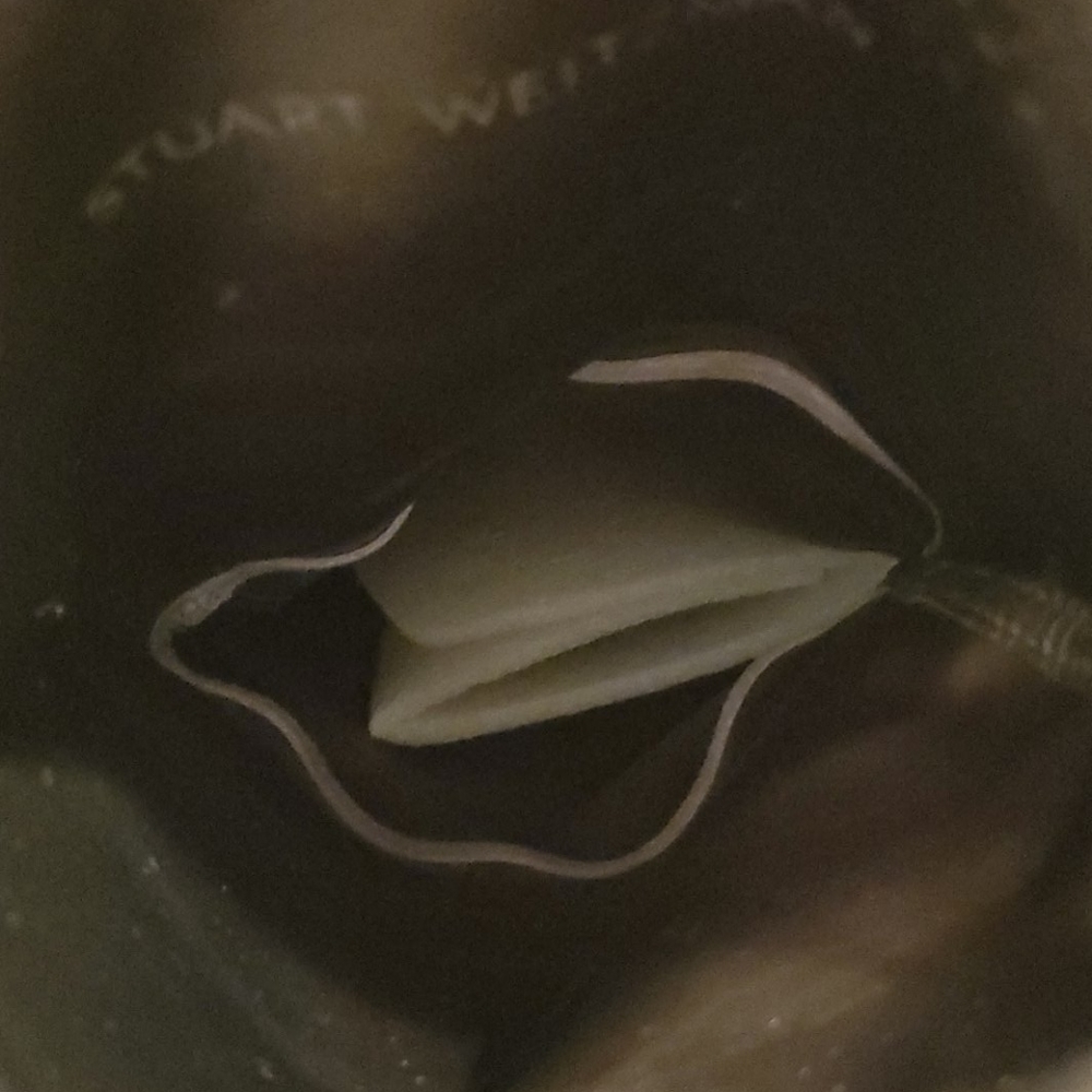 stuart weitzman lowlands over the knee boot - Picture 7 of 12